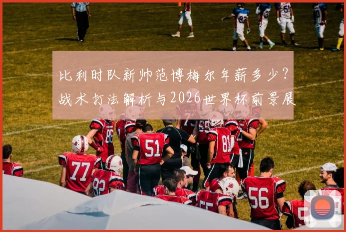 比利时队新帅范博梅尔年薪多少？战术打法解析与2026世界杯前景展望
