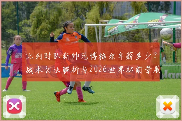 比利时队新帅范博梅尔年薪多少？战术打法解析与2026世界杯前景展望
