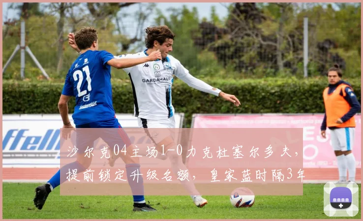 沙尔克04主场1-0力克杜塞尔多夫，提前锁定升级名额，皇家蓝时隔3年重返德甲全回顾